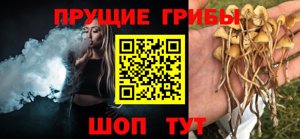 APVP Курчалой